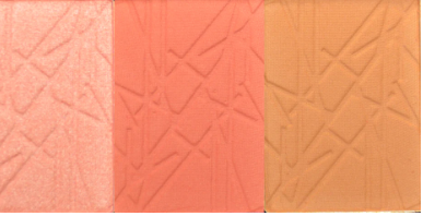Pro Cheek Palette PCP